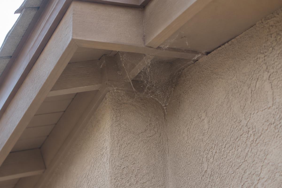 A dusty tangle of cobweb in the corner where a stucco wall meets the soffit under a roof eave