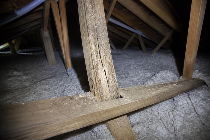 Split roof timber above blown insulation in a dark attic